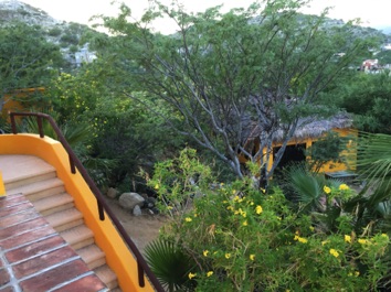 View of Casita from Main House