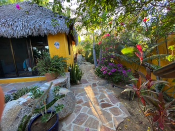 Back Patio